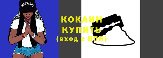 a pvp Новокубанск