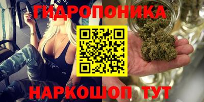 mdma Гай