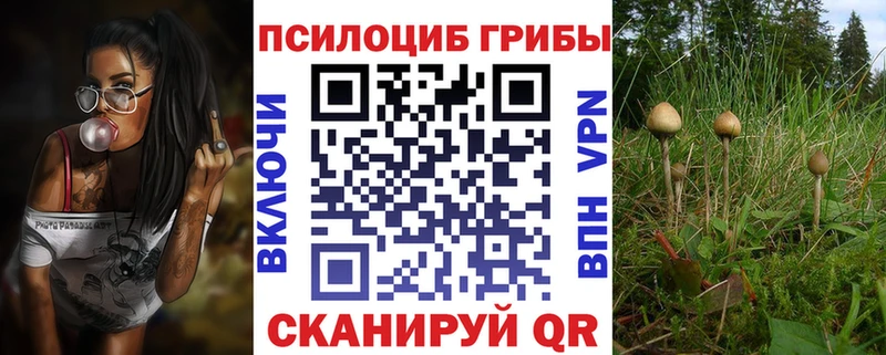 где купить наркоту  Томск  Галлюциногенные грибы прущие грибы 